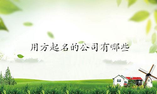 用方起名的公司有哪些