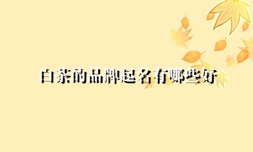 白茶的品牌起名有哪些好