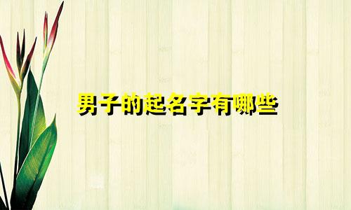 男子的起名字有哪些