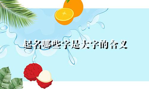 起名哪些字是大字的含义