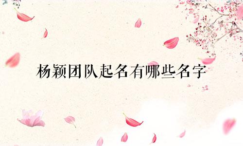 杨颖团队起名有哪些名字
