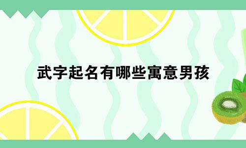 武字起名有哪些寓意男孩