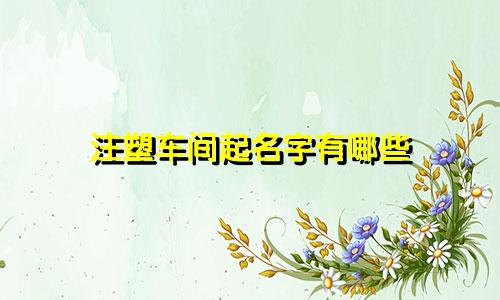 注塑车间起名字有哪些
