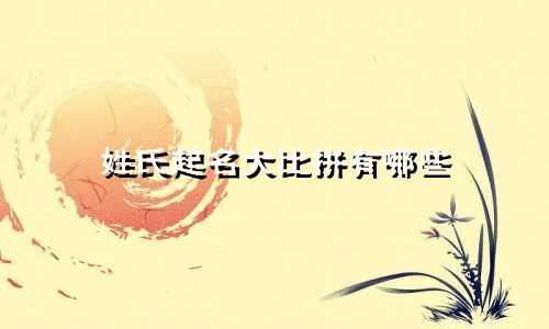 姓氏起名大比拼有哪些