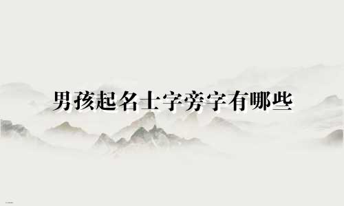 男孩起名士字旁字有哪些