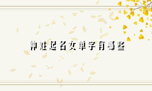 仲姓起名女单字有哪些