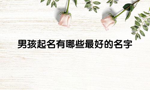 男孩起名有哪些最好的名字