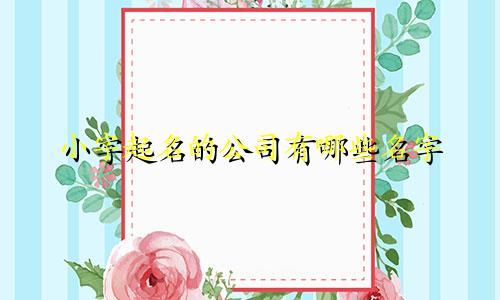 小字起名的公司有哪些名字