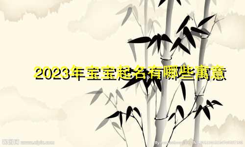 2023年宝宝起名有哪些寓意