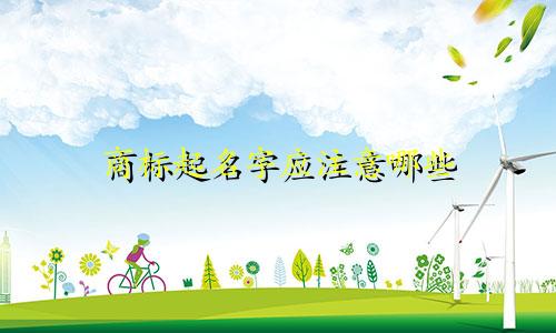 商标起名字应注意哪些