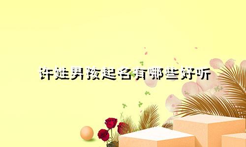 许姓男孩起名有哪些好听