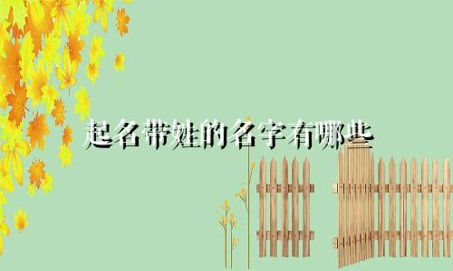 起名带姓的名字有哪些