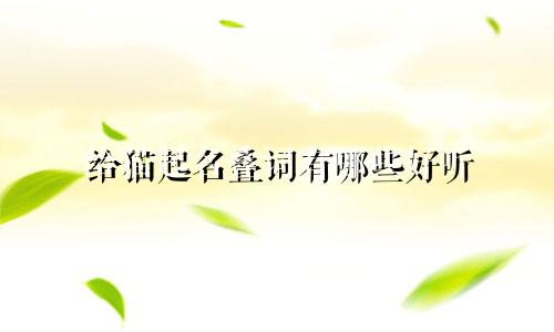 给猫起名叠词有哪些好听