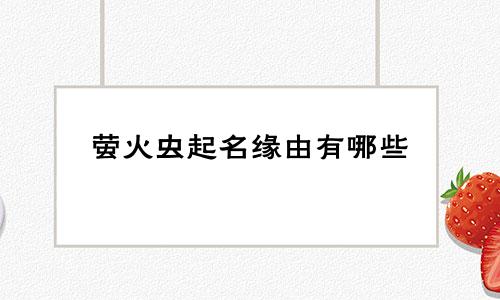 萤火虫起名缘由有哪些
