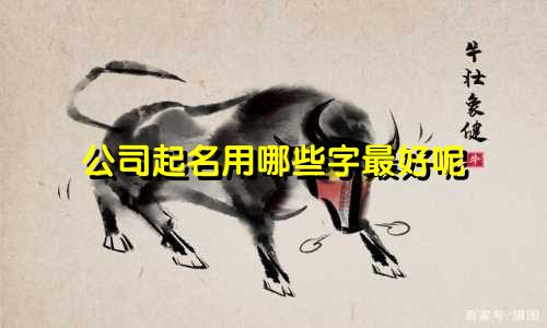 公司起名用哪些字最好呢