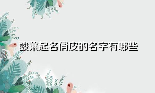 酸菜起名俏皮的名字有哪些