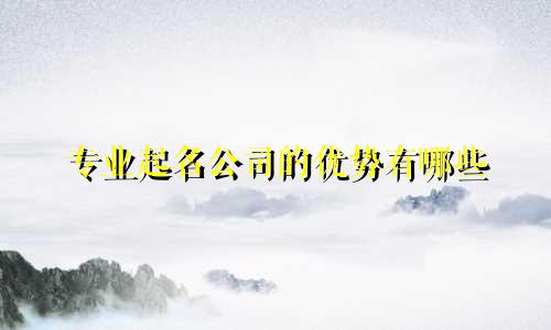 专业起名公司的优势有哪些