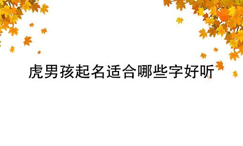 虎男孩起名适合哪些字好听
