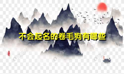 不会起名的卷毛狗有哪些