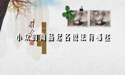 小众的商品起名说法有哪些