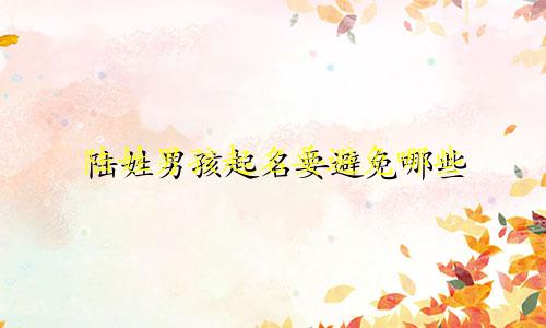 陆姓男孩起名要避免哪些