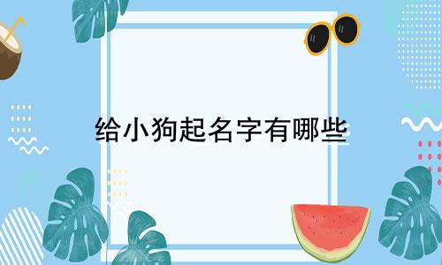 给小狗起名字有哪些