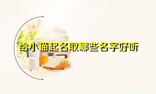 给小猫起名取哪些名字好听