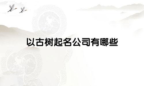 以古树起名公司有哪些