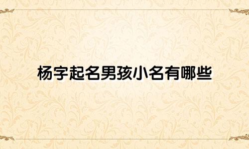 杨字起名男孩小名有哪些