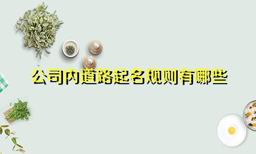 公司内道路起名规则有哪些