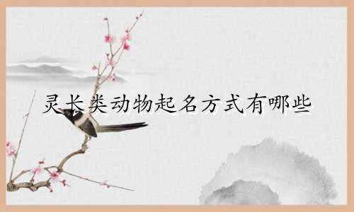 灵长类动物起名方式有哪些