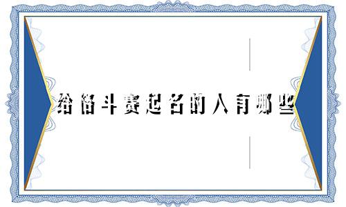 给格斗赛起名的人有哪些