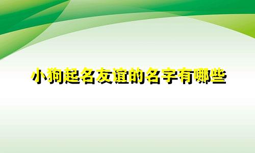 小狗起名友谊的名字有哪些
