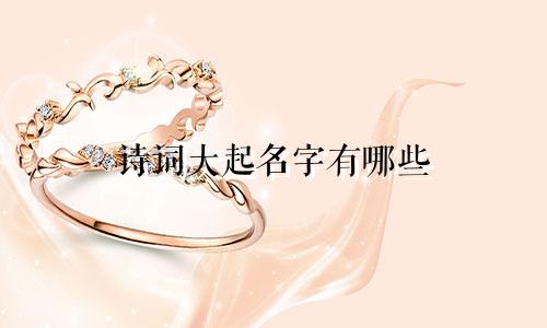 诗词大起名字有哪些