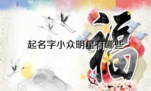 起名字小众明星有哪些