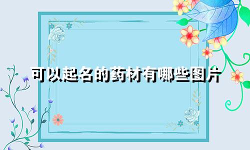 可以起名的药材有哪些图片
