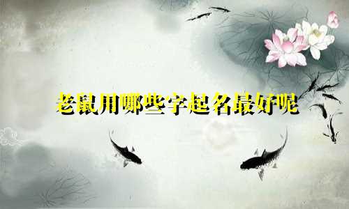 老鼠用哪些字起名最好呢