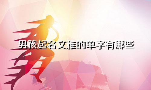 男孩起名文雅的单字有哪些