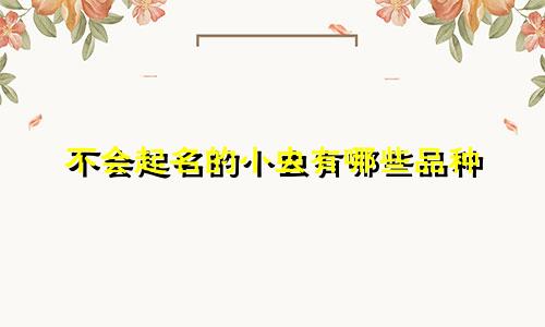 不会起名的小虫有哪些品种