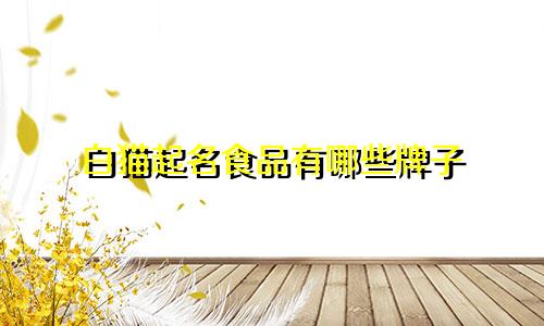 白猫起名食品有哪些牌子