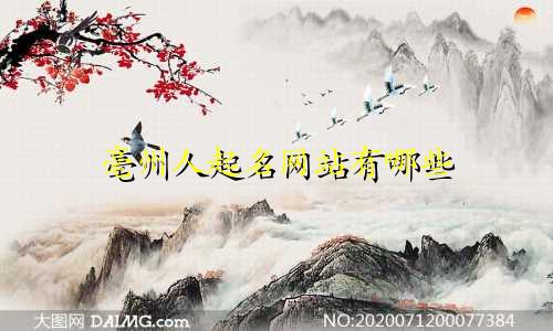 亳州人起名网站有哪些