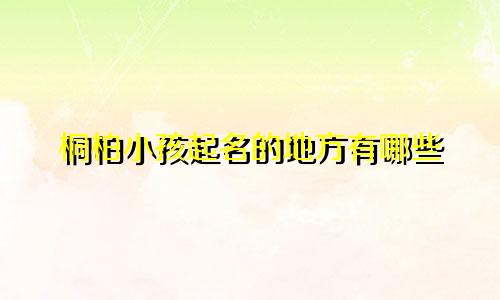 桐柏小孩起名的地方有哪些