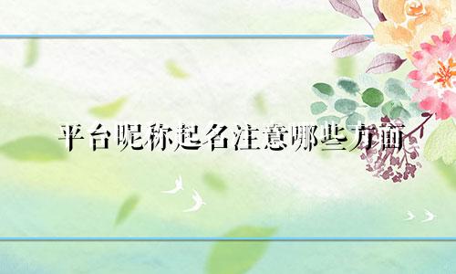 平台昵称起名注意哪些方面
