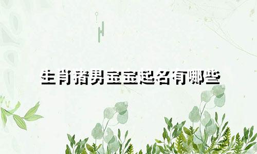 生肖猪男宝宝起名有哪些