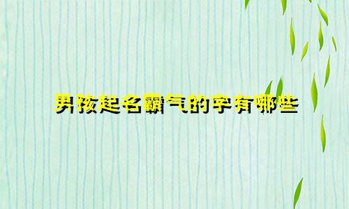 男孩起名霸气的字有哪些