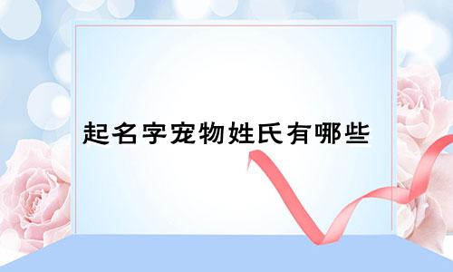 起名字宠物姓氏有哪些