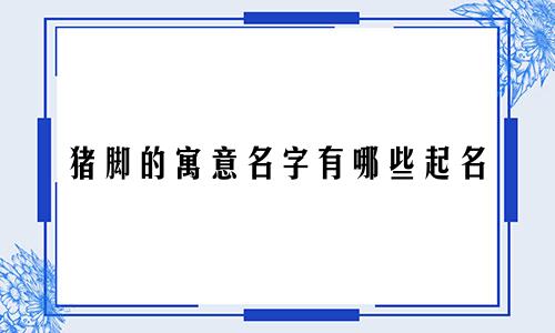 猪脚的寓意名字有哪些起名