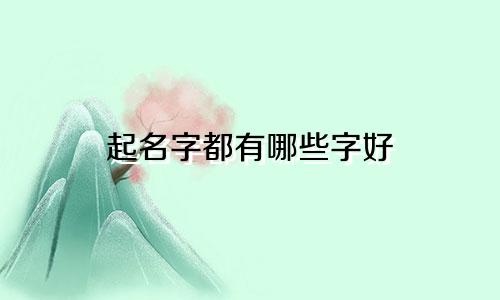 起名字都有哪些字好