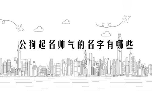 公狗起名帅气的名字有哪些