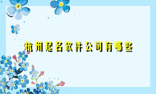 杭州起名软件公司有哪些